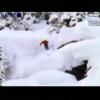 NORDICA - a 2009- es év sícipője