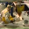 Pünkösdi Regatta, TVSK Pannongsm Kupa 2005