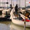 Soling EB 2008
