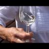 Balatonlelle Boat show 2013