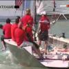 Pünkösdi Regatta TVSK - AIS-AHICO Kupa 2008.