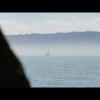 Őszi Balaton - 2013.